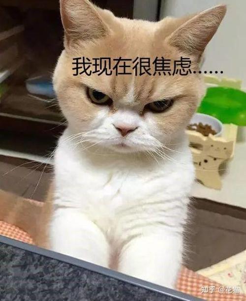 情绪突然崩溃怎么办截图