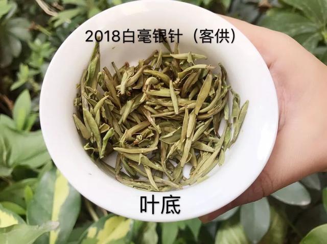 白茶属于什么茶游戏截图
