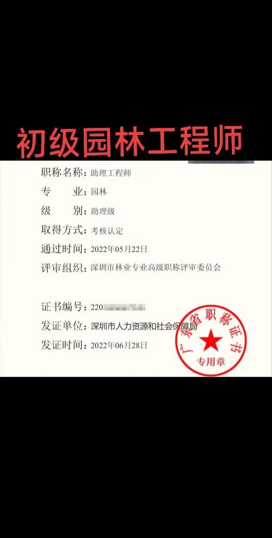 初级工程师