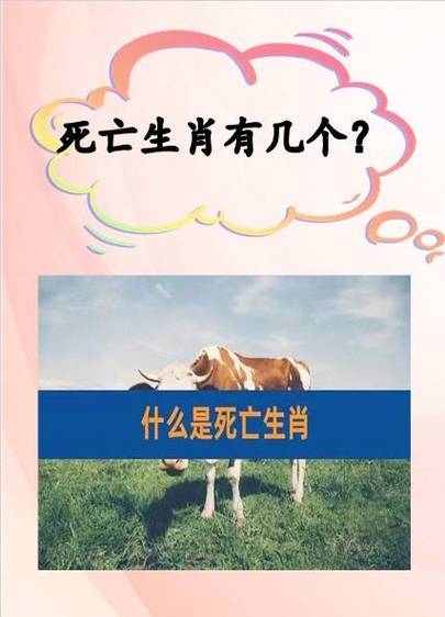 什么叫死亡生肖