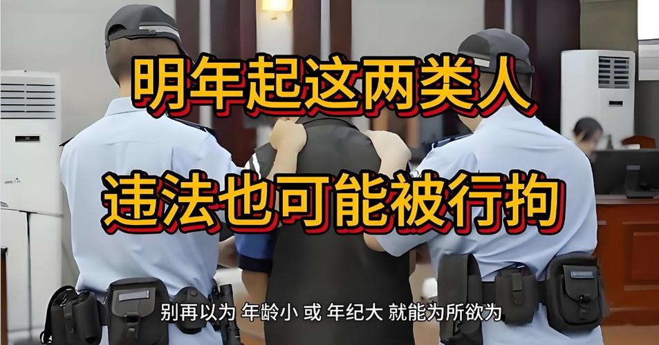 70岁以上老人犯法可以拘留吗缩略图