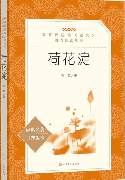 荷花小说网书包网