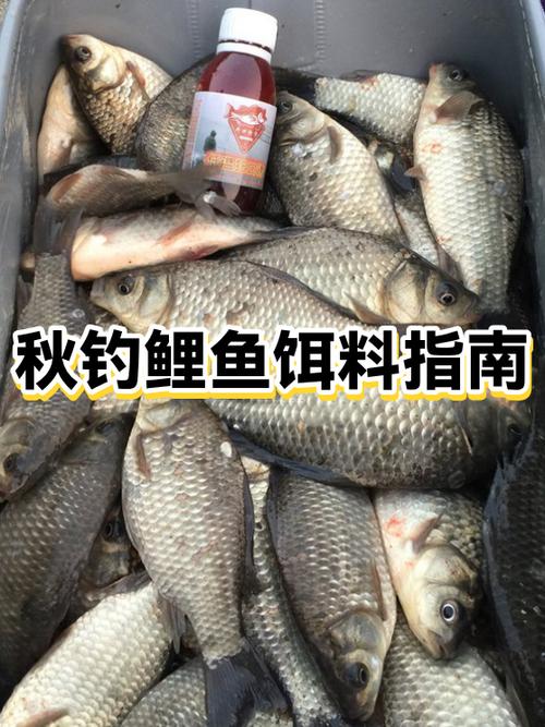 野钓鲤鱼公认最强饵料截图