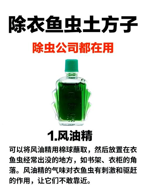 衣鱼虫怎么根治