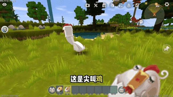 迷你世界鸡的食物是什么