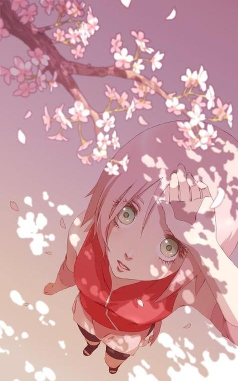 火影之风中的樱花作者图标