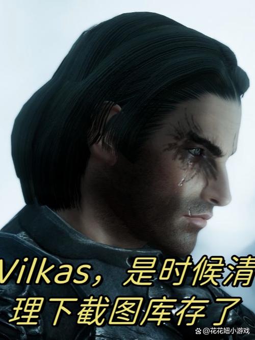 上古卷轴5战友团任务代码一览