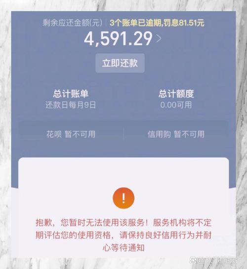 花呗欠了1万逾期6年了