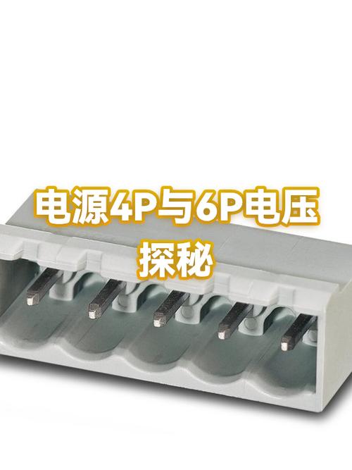 怎么区分4p和6p什么意思截图