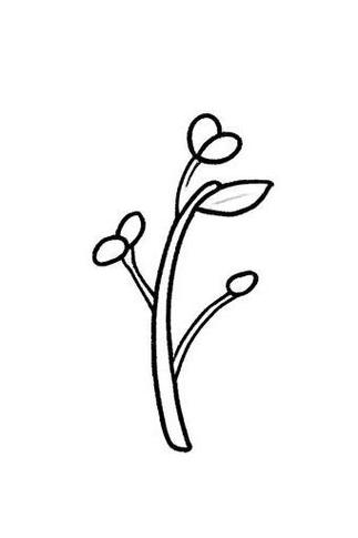 芽儿啥意思