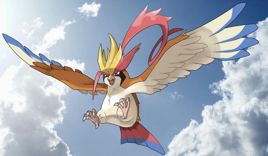 波波三段进化图片