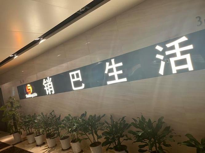 销巴是怎样的一个平台