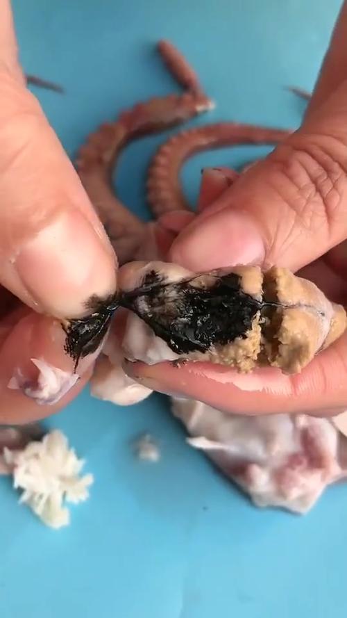 八爪鱼里面的黄是屎吗