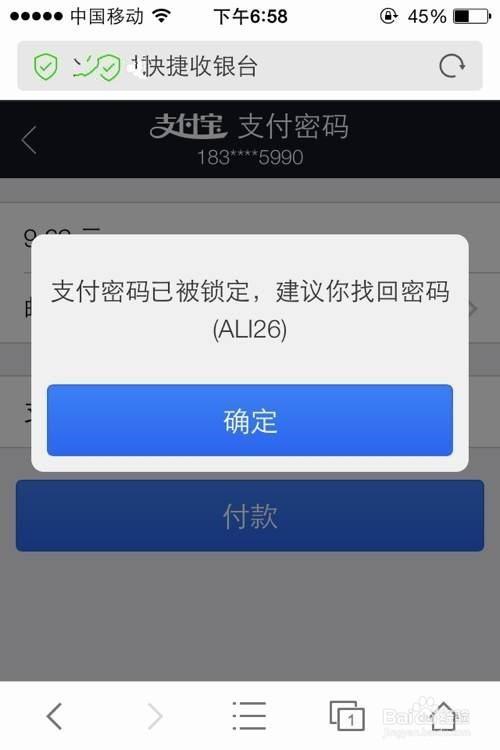 支付宝密码被别人知道图标