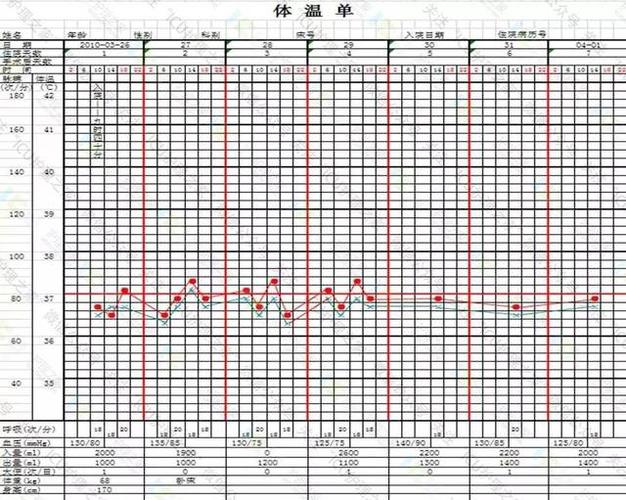 体温单模板