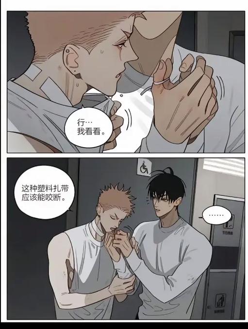 19天漫画在哪看全集