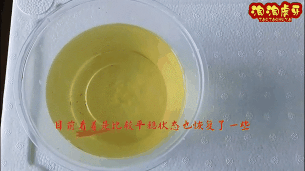 鱼缩尾了最快恢复的方法