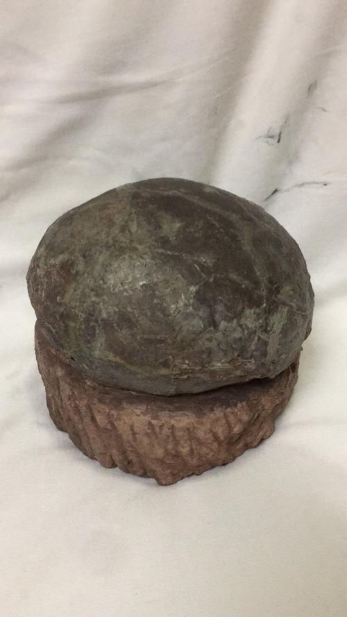 恐龙蛋化石出售