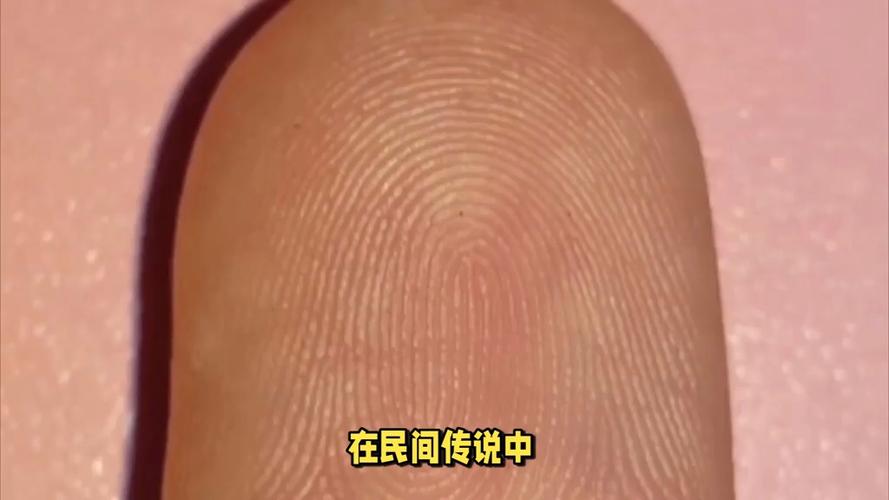 手掌乾宫上有簸箕纹