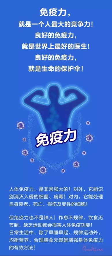 免疫力低吃什么补得快缩略图