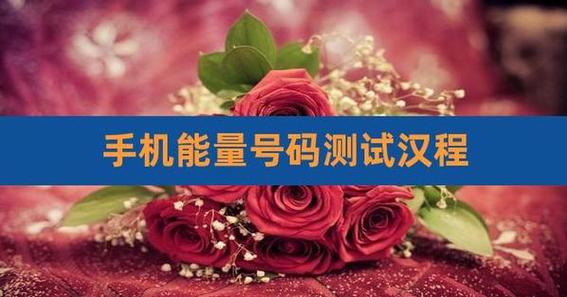 生辰八字选手机号码免费截图
