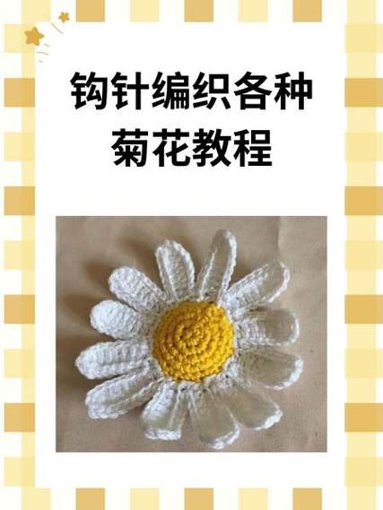 各种各样的菊花的钩法