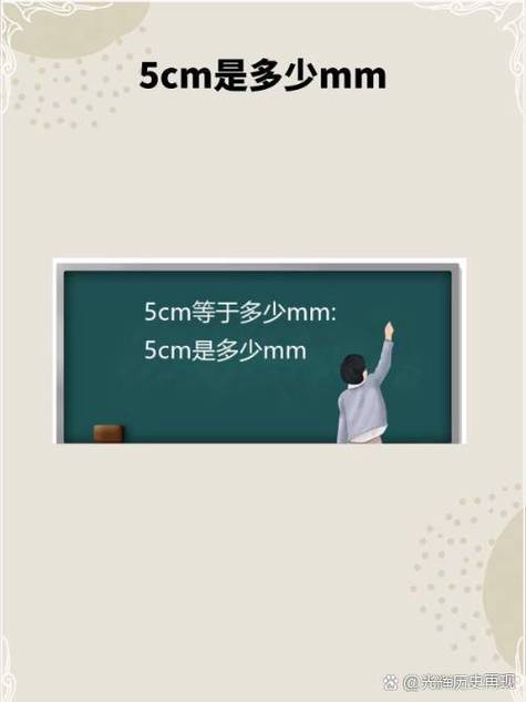 5c是多少mm