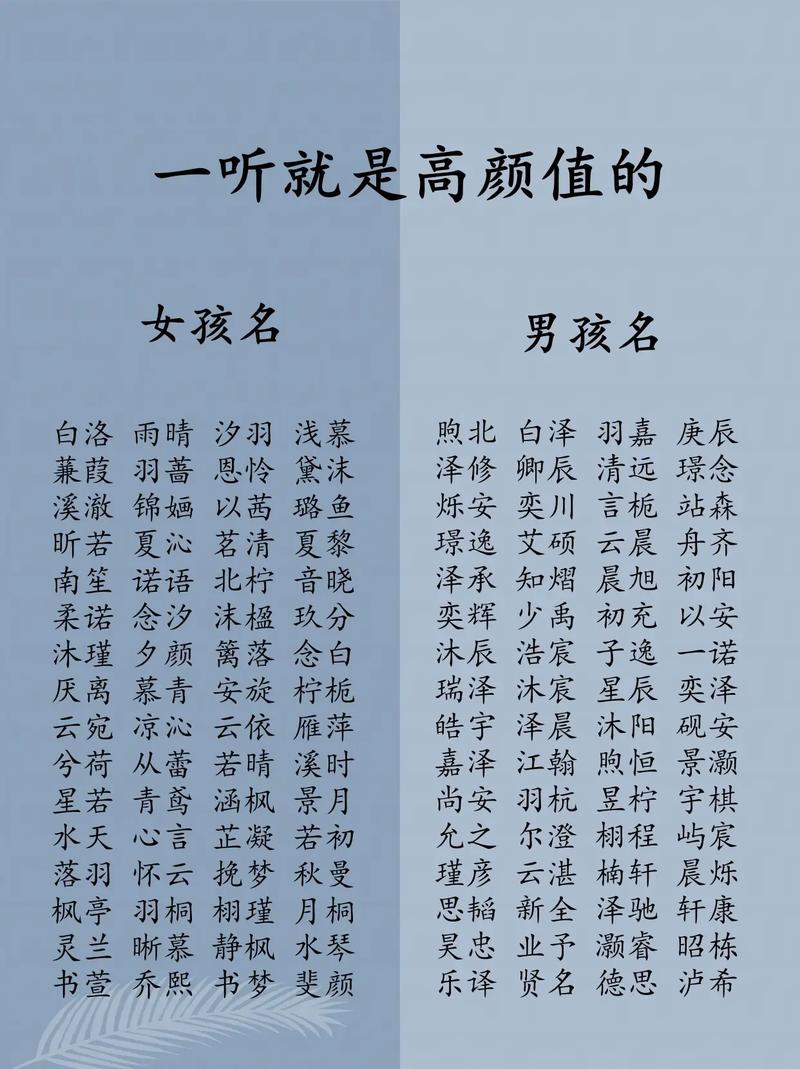 比熊最旺家的名字