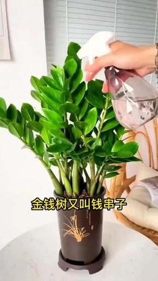 有钱花在哪里关闭