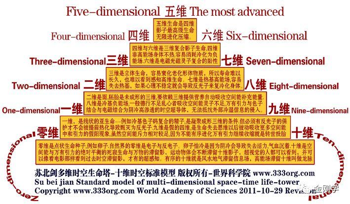 世界十二个等级