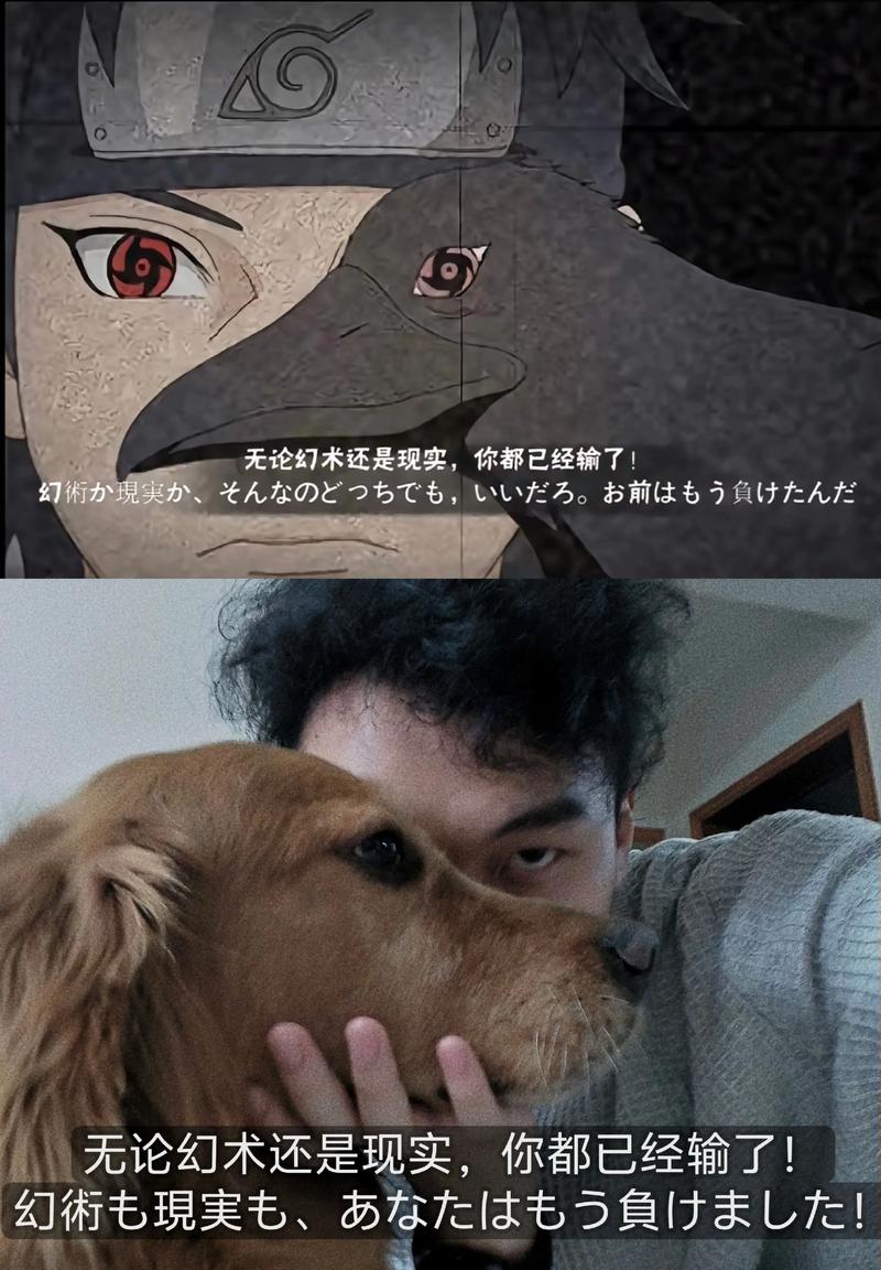 火影世一导管录屏