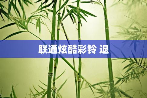 个人视频彩铃可以退订吗