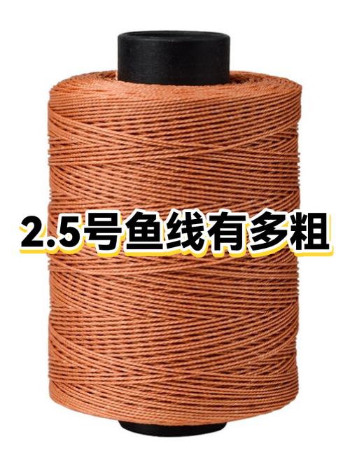 2.5主线野钓粗不粗