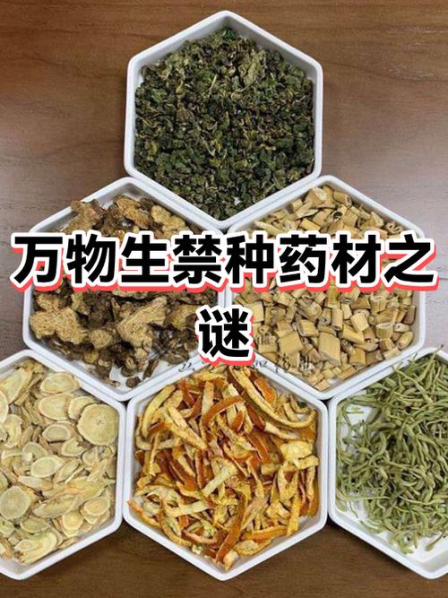 女忍者训练师小樱需要多少药材缩略图