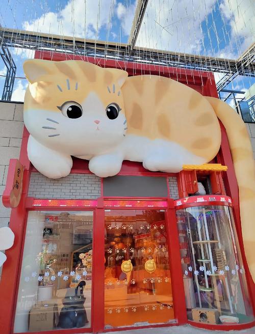 首城猫网