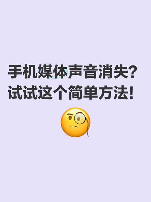 媒体声音截图