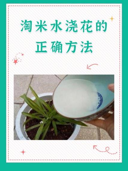 苹果水浇花的正确方法
