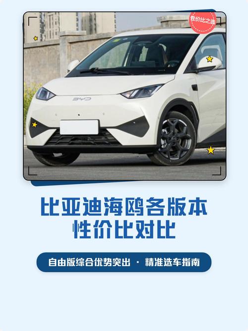 海鸥vp老新版本图标
