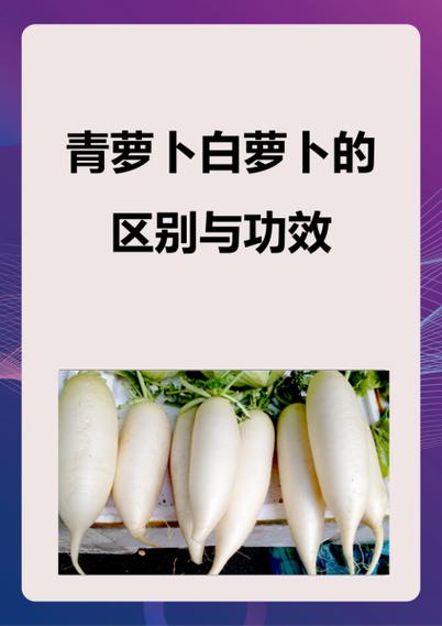 青萝卜煮水神奇功效