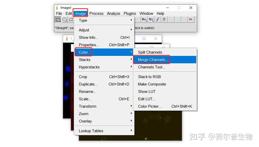 imagej视频教程
