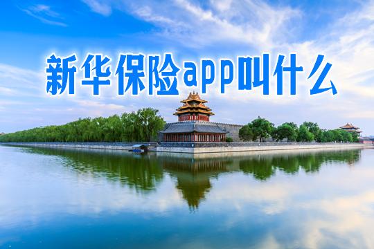 新华保险app官方正版图标