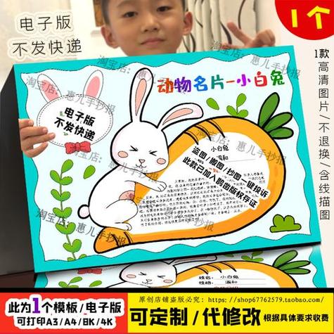 兔子的名片