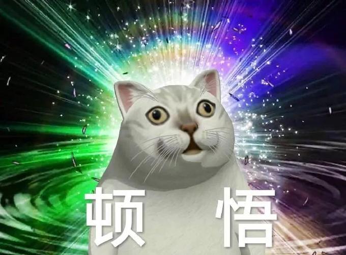 最近超火的表情包