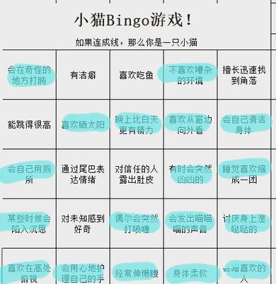 我的世界bingo