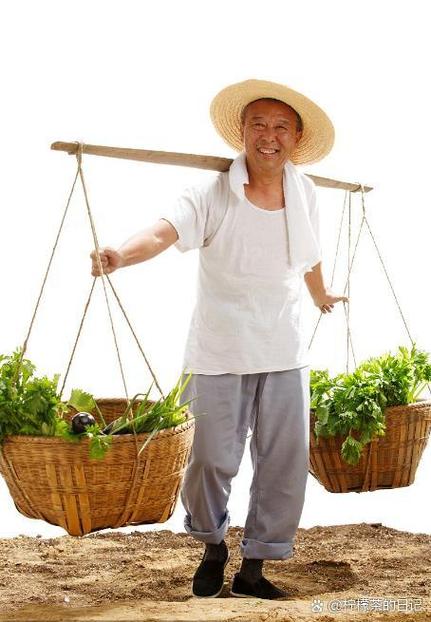 一条扁担还是一个扁担