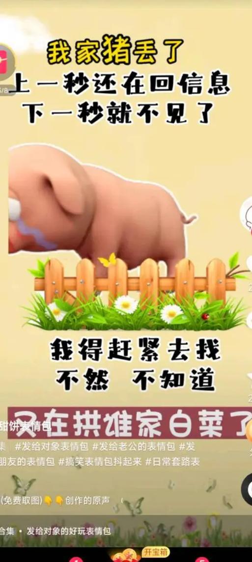 主人丢猪迷路了