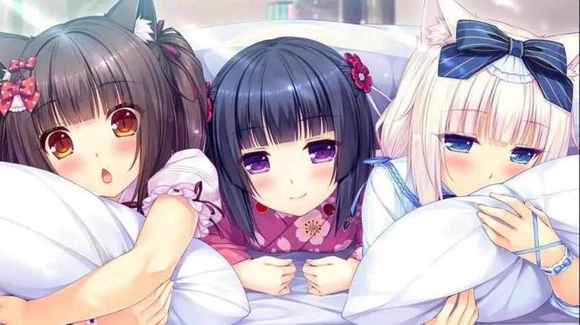 繁星冷狐汉化绅士游戏缩略图
