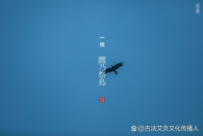情到极处必生幻