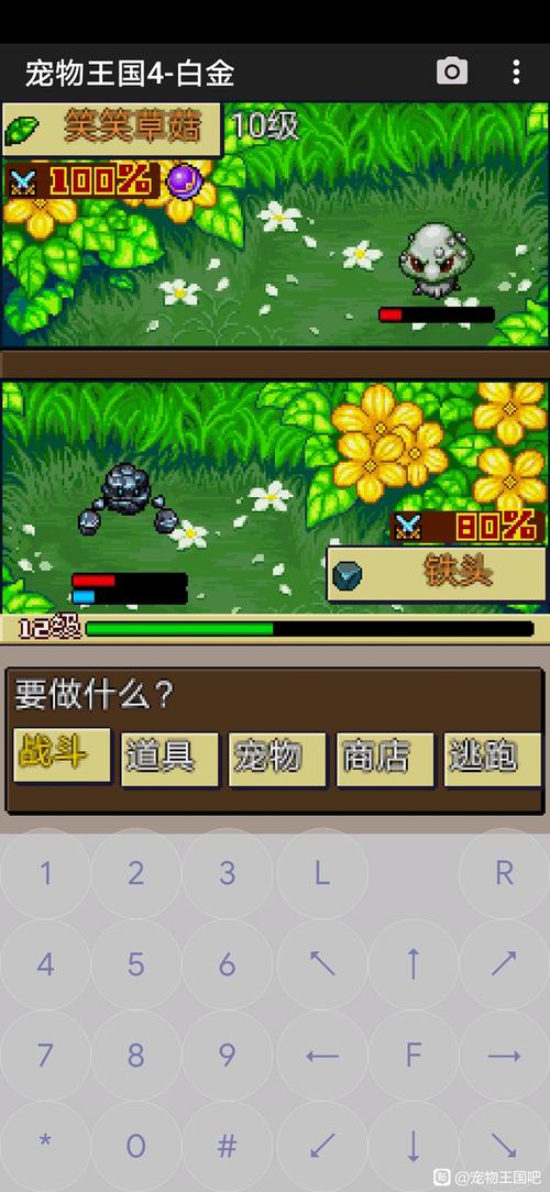 宠物王国单机版支线任务