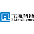 武汉飞流智能技术有限公司